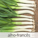 GlutenFree-alho-frances-1