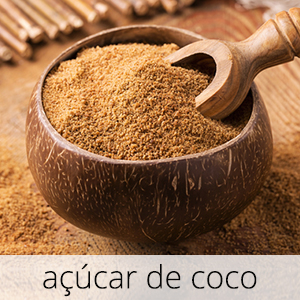 GlutenFree-com-paixao-Acucar-de-Coco-1