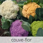GlutenFree-com-paixao-Couve-flor-1